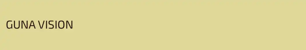 GUNA VISION
